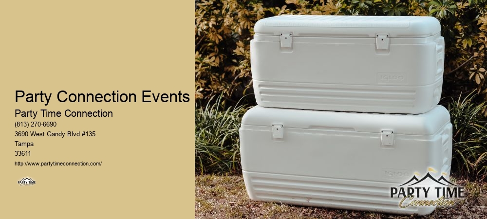 Party Time Inflatables And Party Rentals